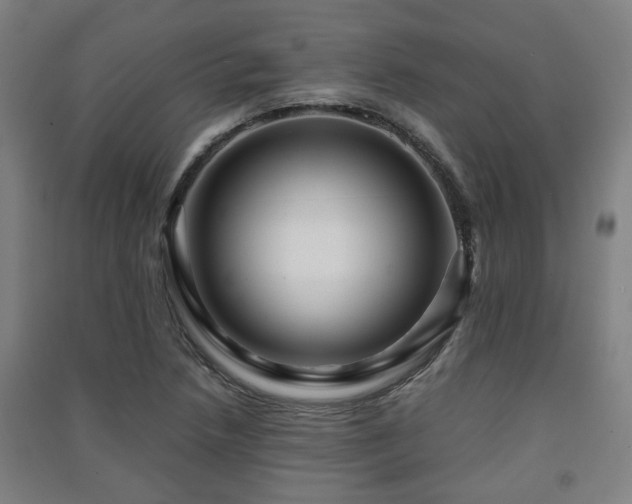 X0000091451218200708161251