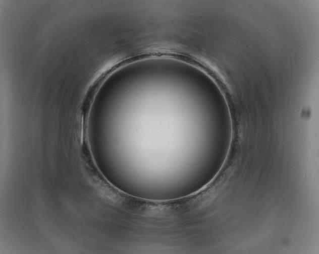 X0000091451219200708161251
