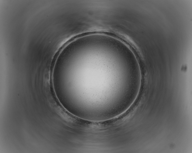 X0000091451220200708161251