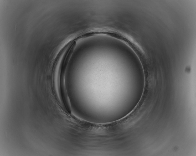 X0000091451221200708161251