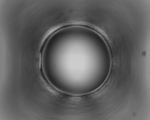 X0000091451223200708161251