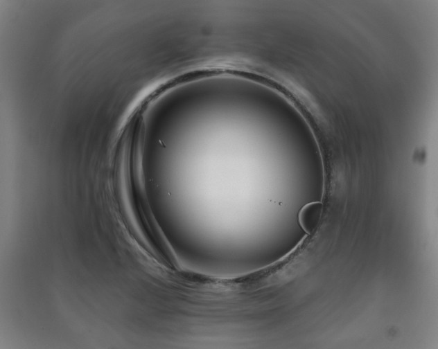 X0000091451224200708161251