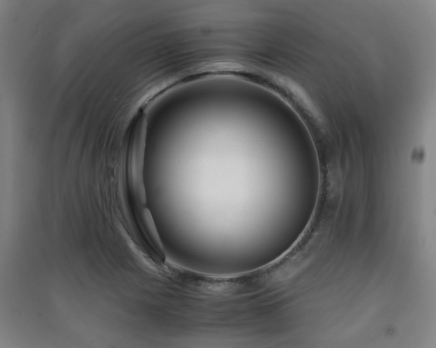X0000091451225200708161251