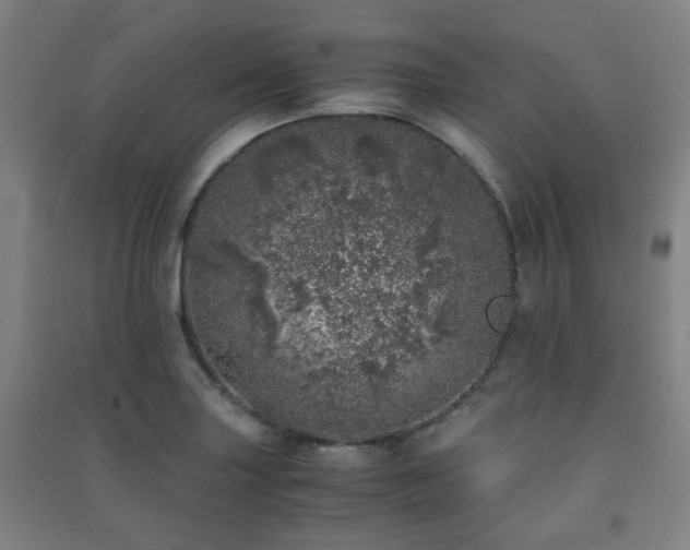 X0000091451227200708161252