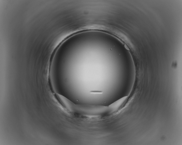X0000091451228200708161252