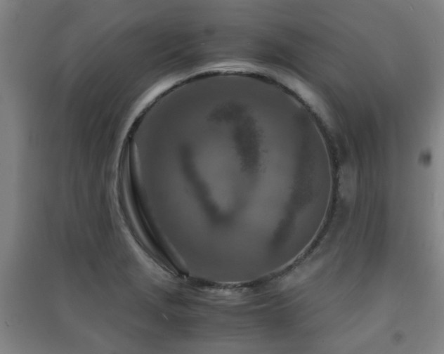 X0000091451229200708161252