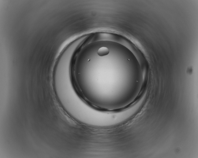 X0000091451230200708161252