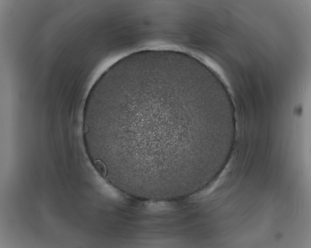 X0000091451231200708161252