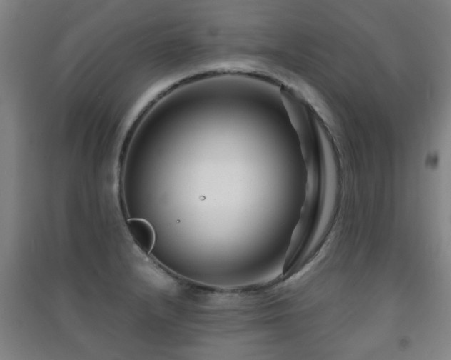 X0000091451232200708161252