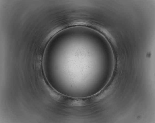 X0000091451233200708161252