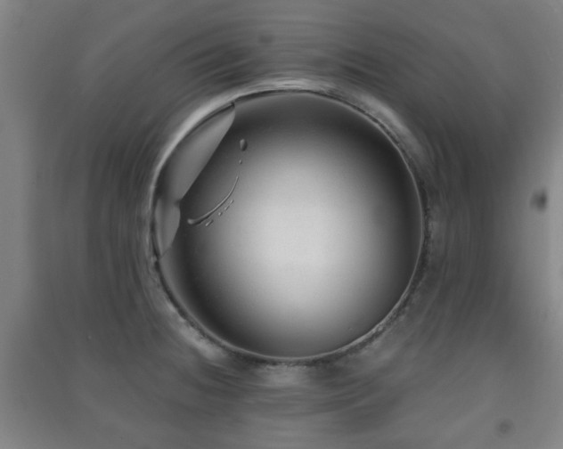 X0000091451236200708161252