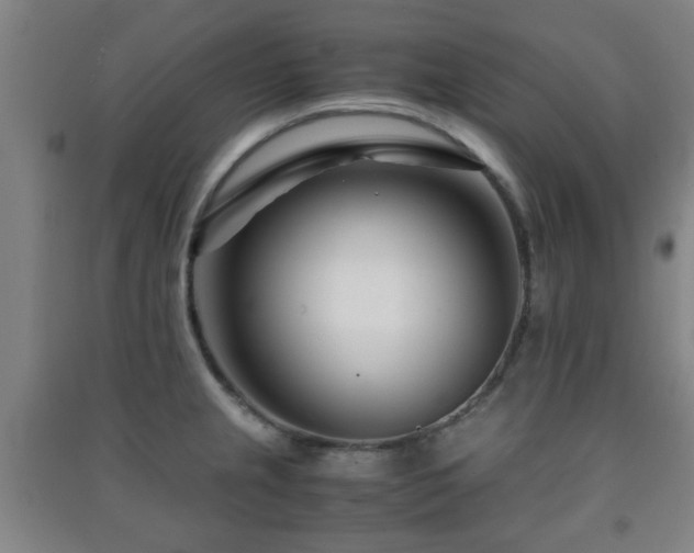 X0000091451237200708161252