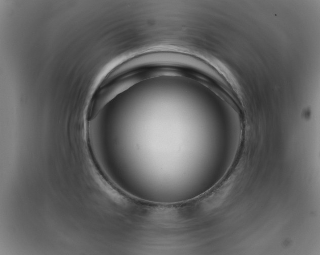 X0000091451238200708161252