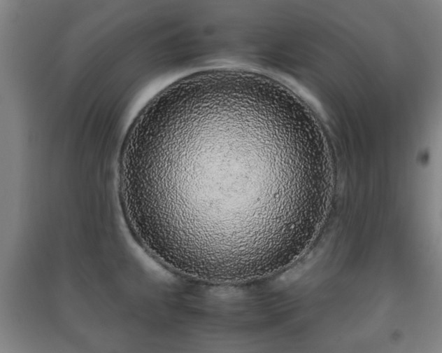 X0000091451239200708161252