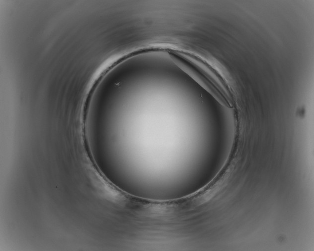 X0000091451240200708161252