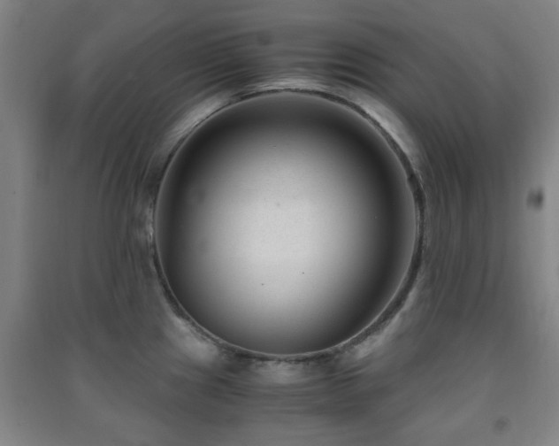 X0000091451241200708161252