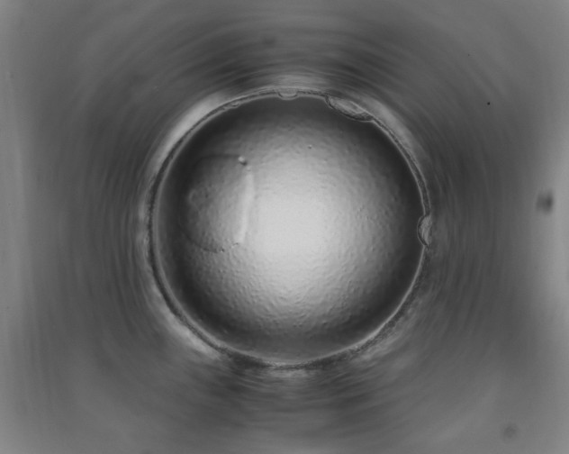 X0000091451243200708161252