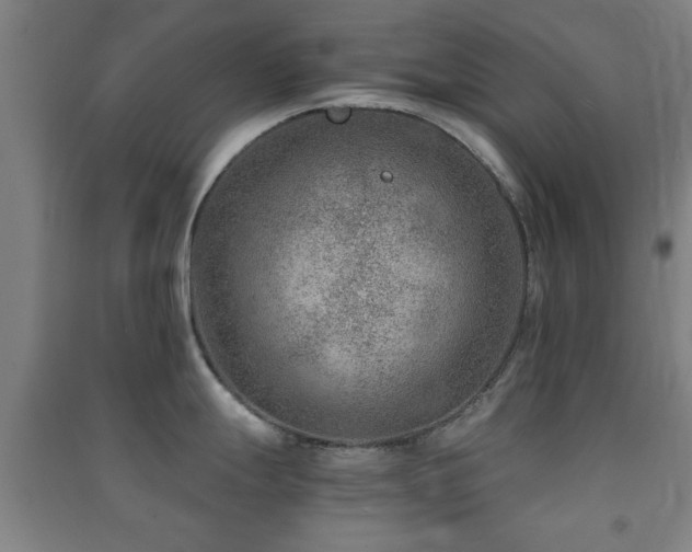 X0000091451247200708161252