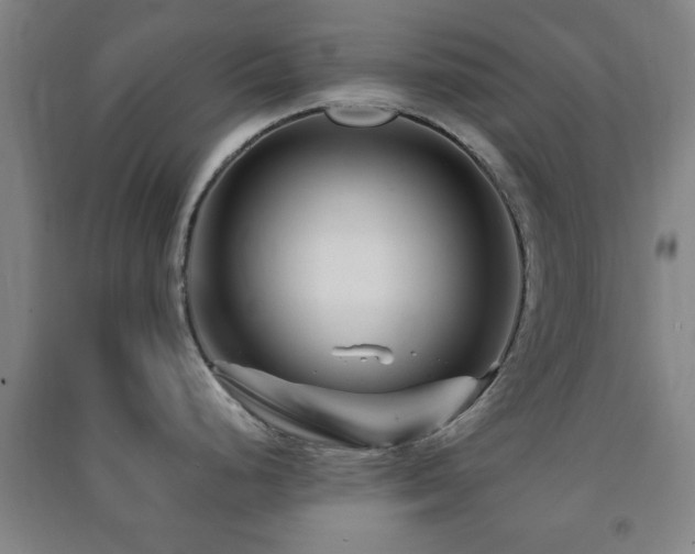 X0000091451248200708161252
