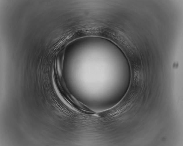 X0000091451250200708161251