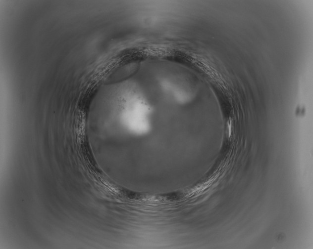 X0000091451251200708161251