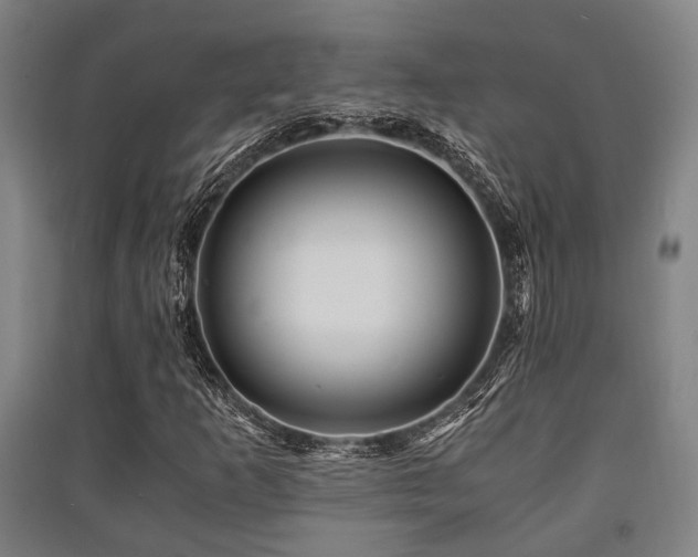 X0000091451253200708161251