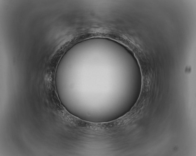 X0000091451254200708161251