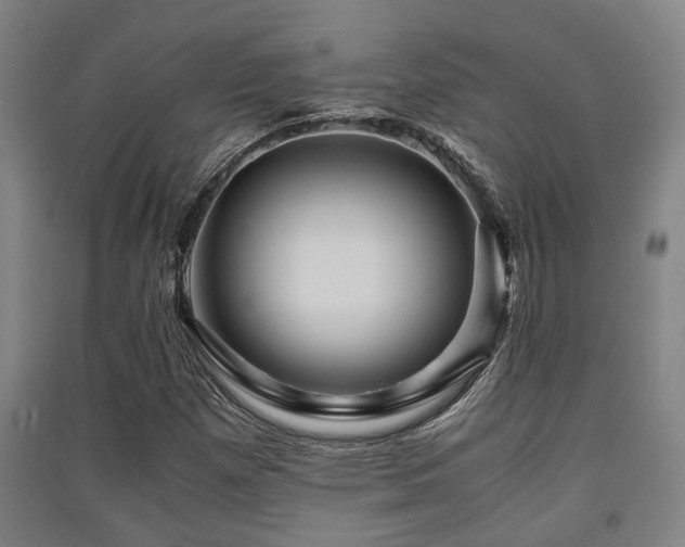 X0000091451257200708161251