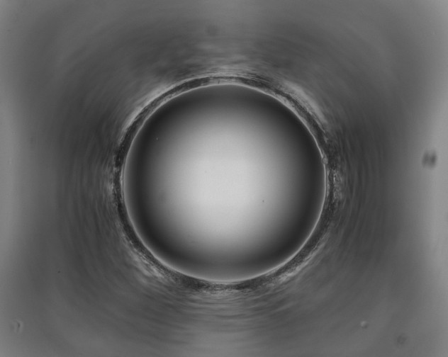 X0000091451260200708161251