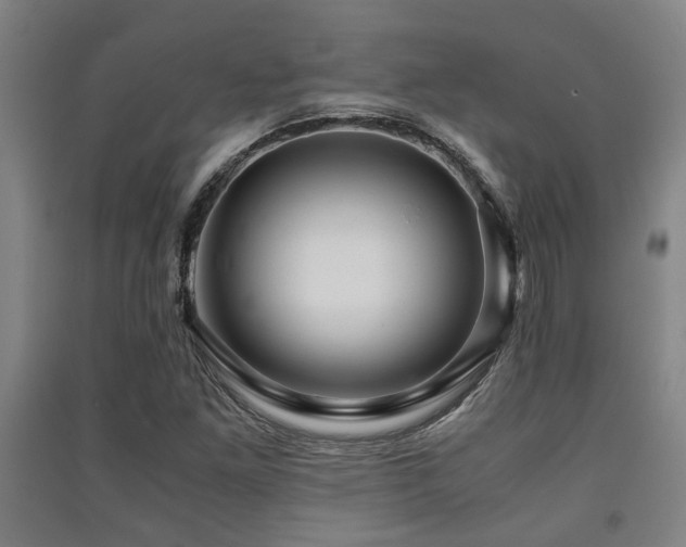 X0000091451261200708161251