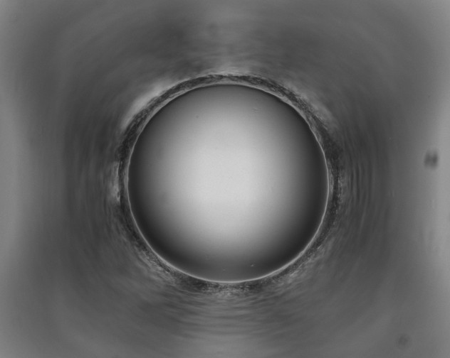X0000091451262200708161251