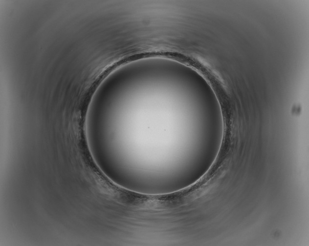 X0000091451265200708161251