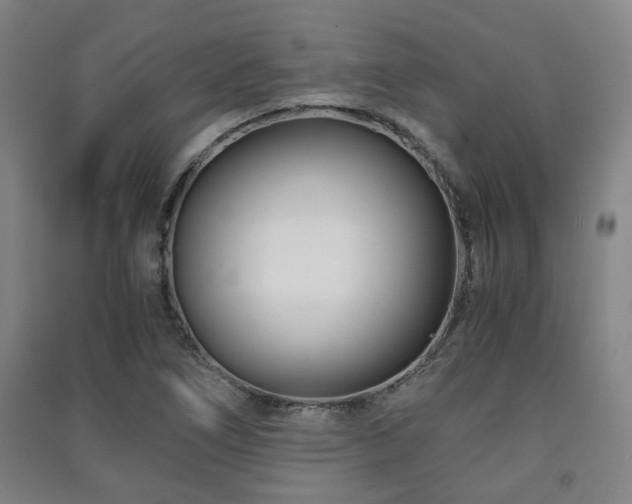 X0000091451266200708161251