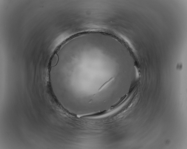 X0000091451267200708161251