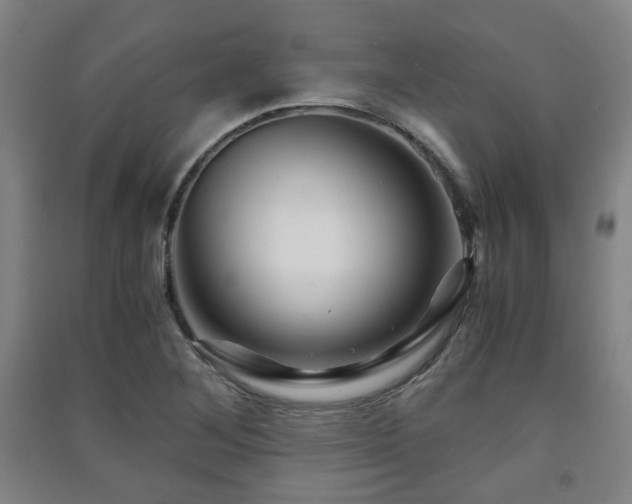 X0000091451268200708161251