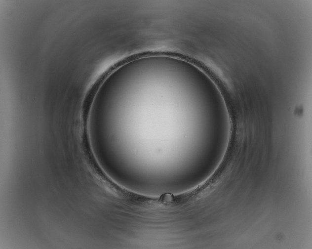 X0000091451270200708161251