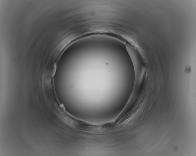 X0000091451273200708161251