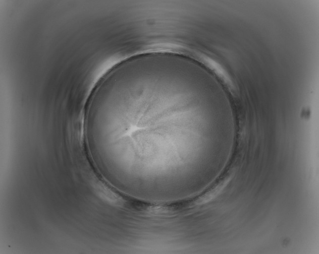X0000091451275200708161251