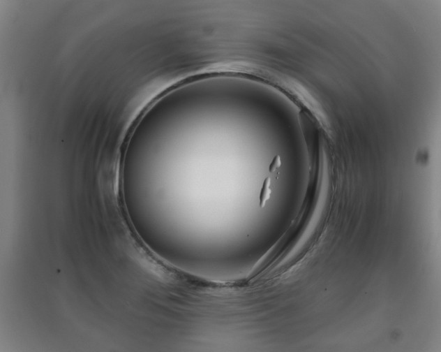 X0000091451276200708161251