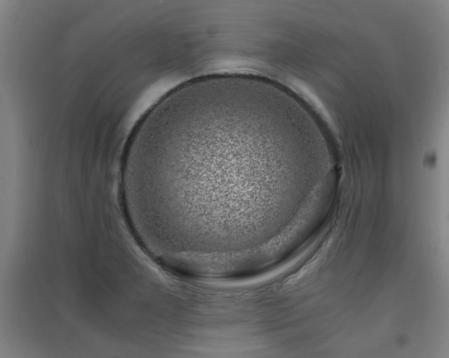 X0000091451277200708161251