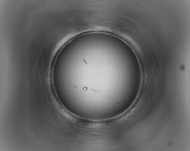 X0000091451278200708161251