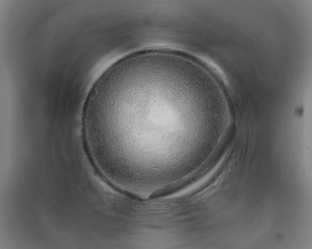 X0000091451279200708161251