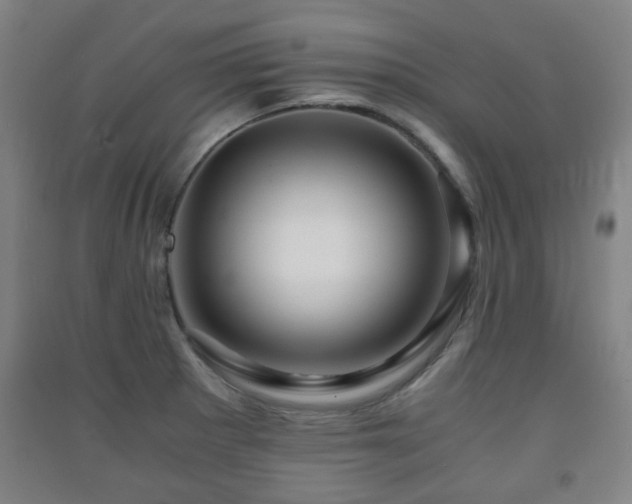 X0000091451281200708161251