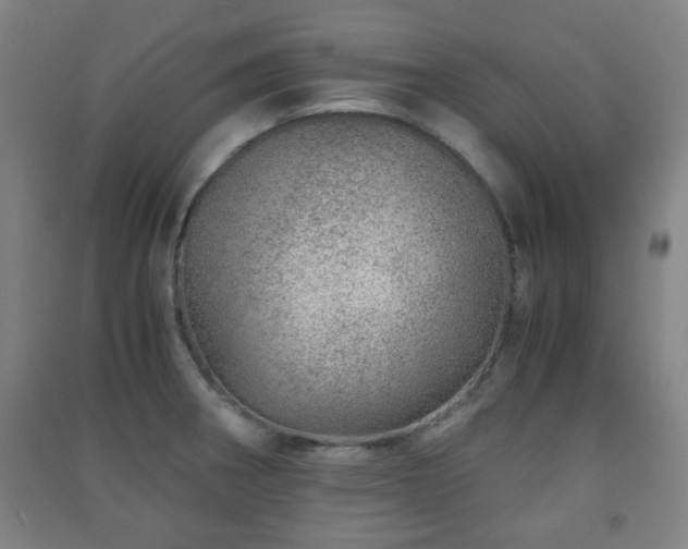 X0000091451282200708161251