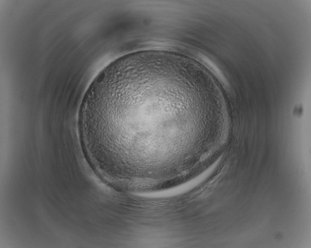 X0000091451283200708161251