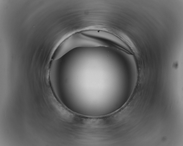 X0000091451284200708161251