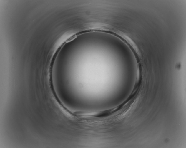 X0000091451285200708161251