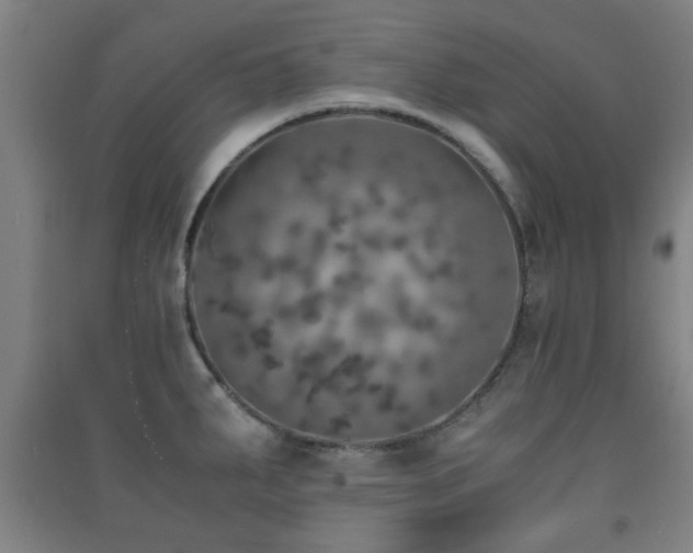 X0000091451287200708161251