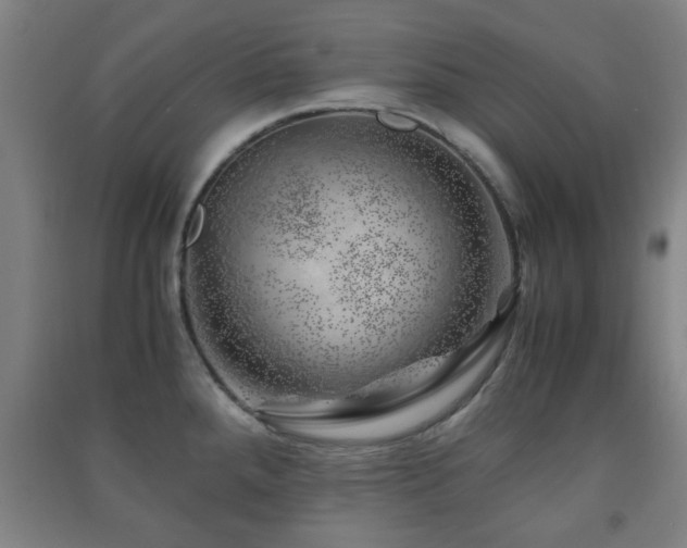 X0000091451288200708161251