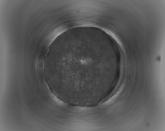X0000091451289200708161251